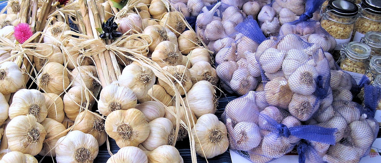 garlic vegetable festival free photo