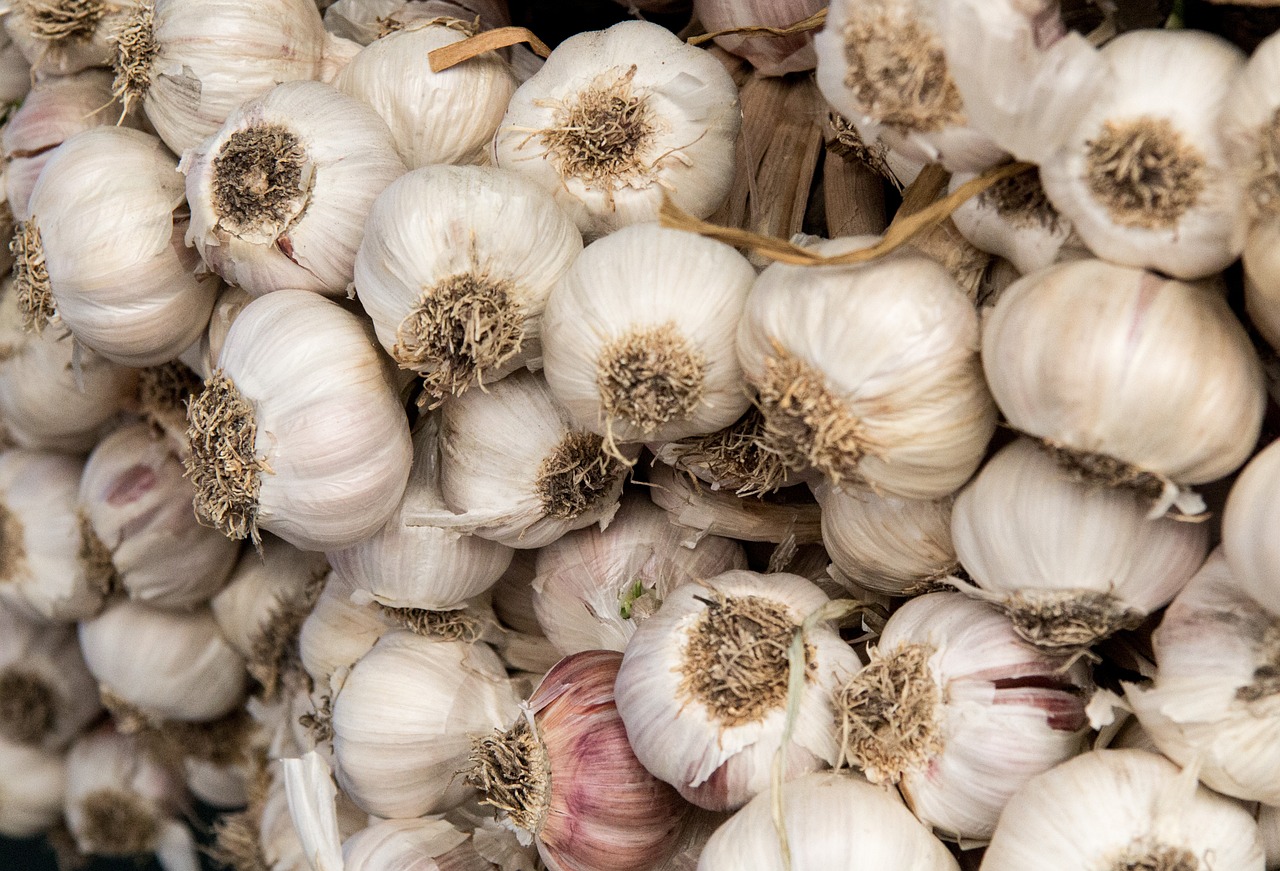 garlic vegetables market free photo