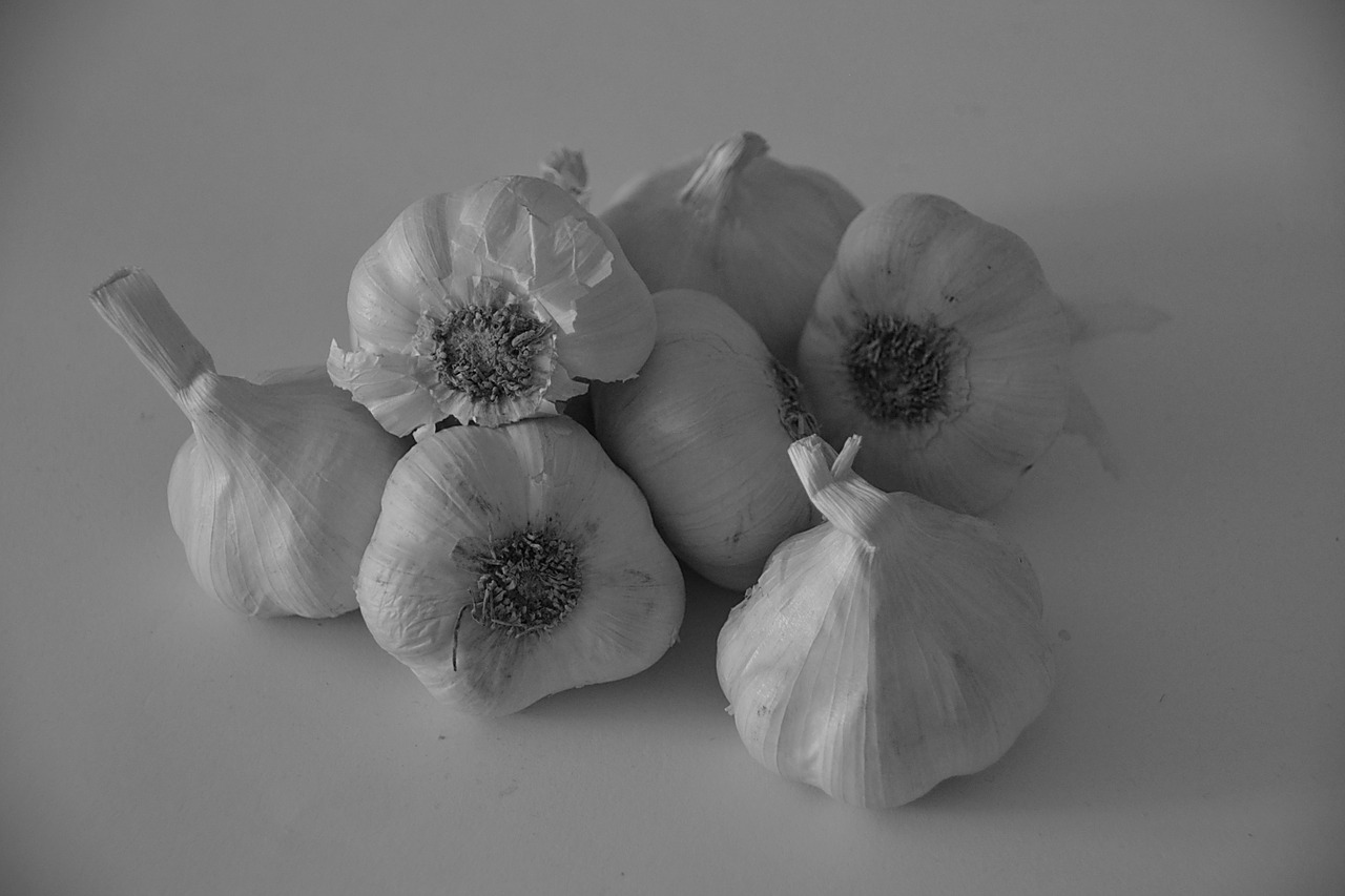garlic condiments flavor free photo