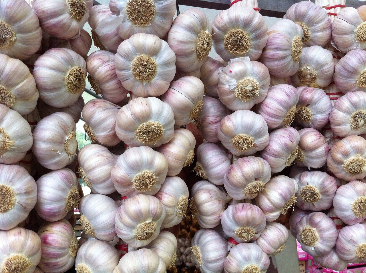 garlic french garlic delicious free photo