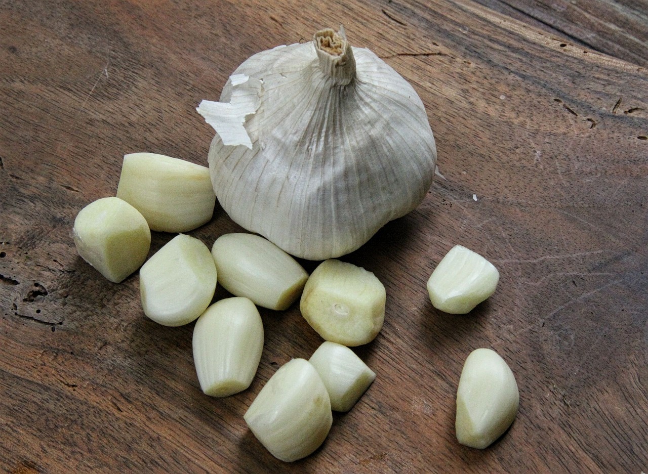 garlic vegetables healthy free photo