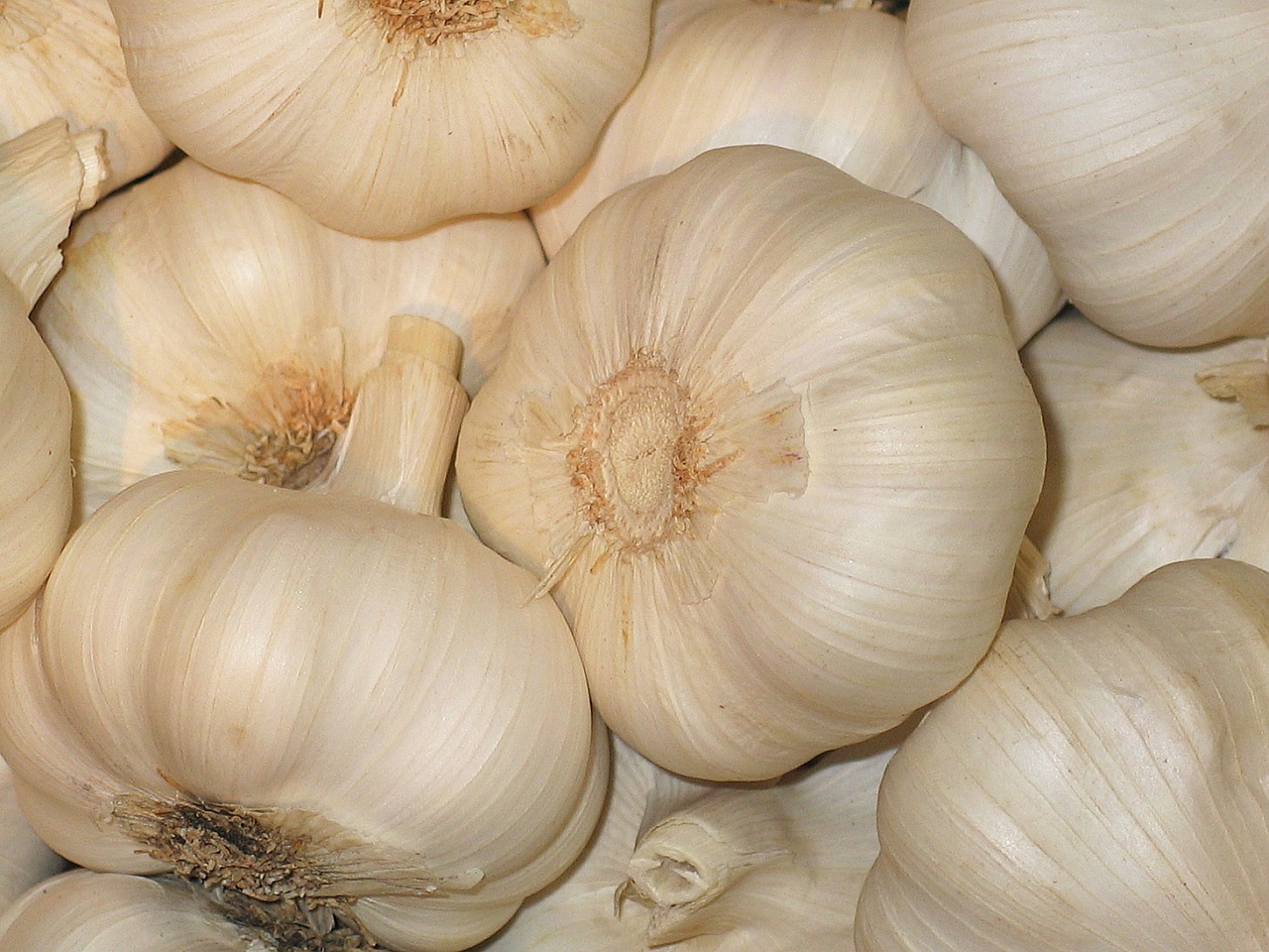 garlic vegetables food free photo