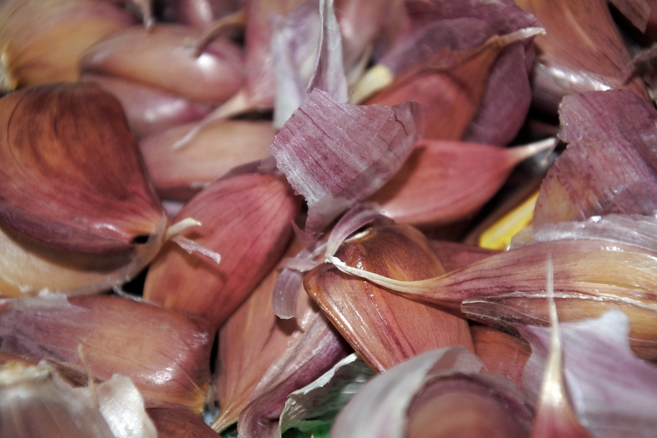 garlic vegetable wedges free photo