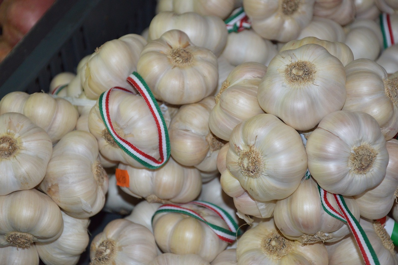 garlic spice market free photo