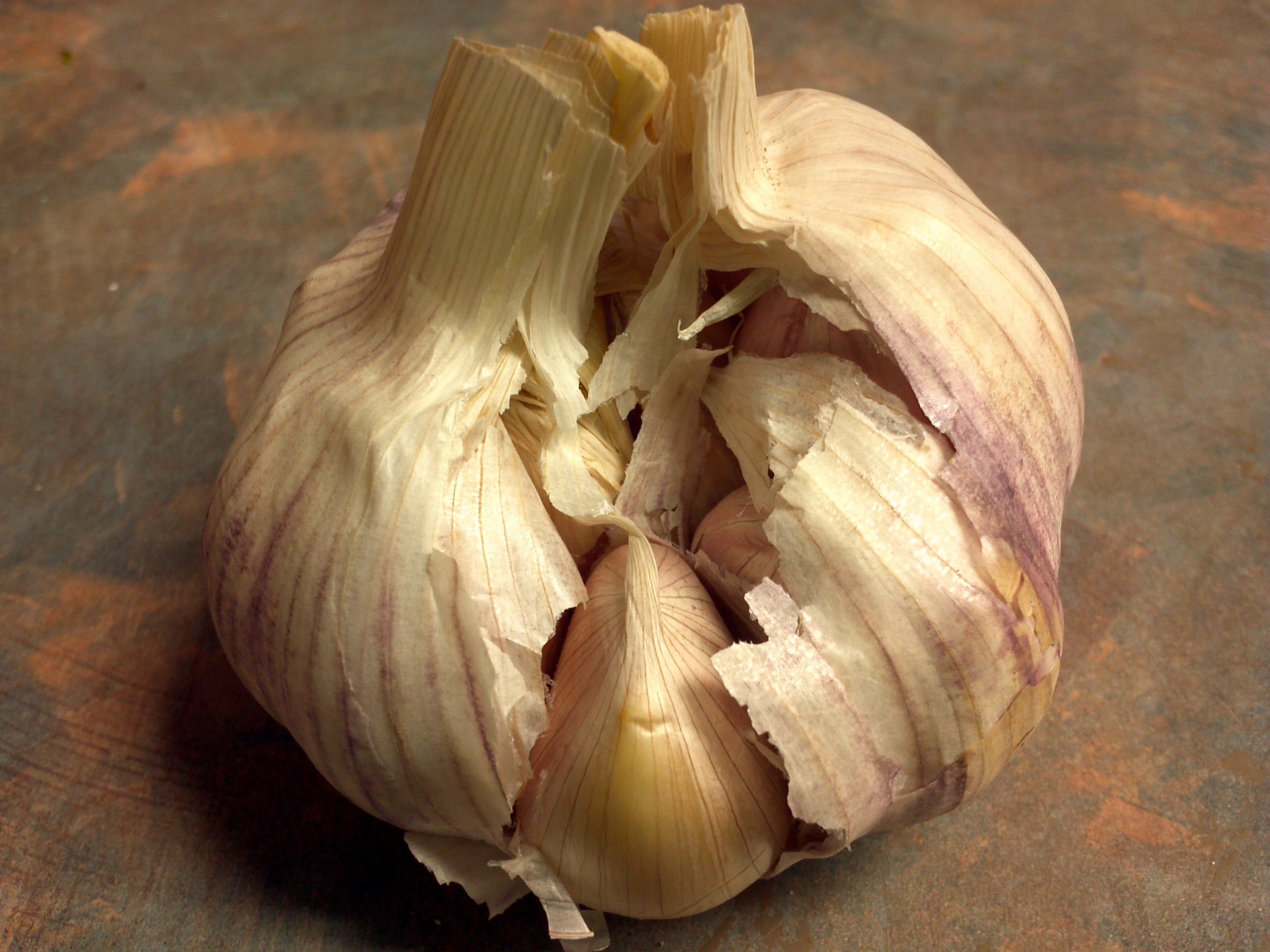 food garlic closeup free photo