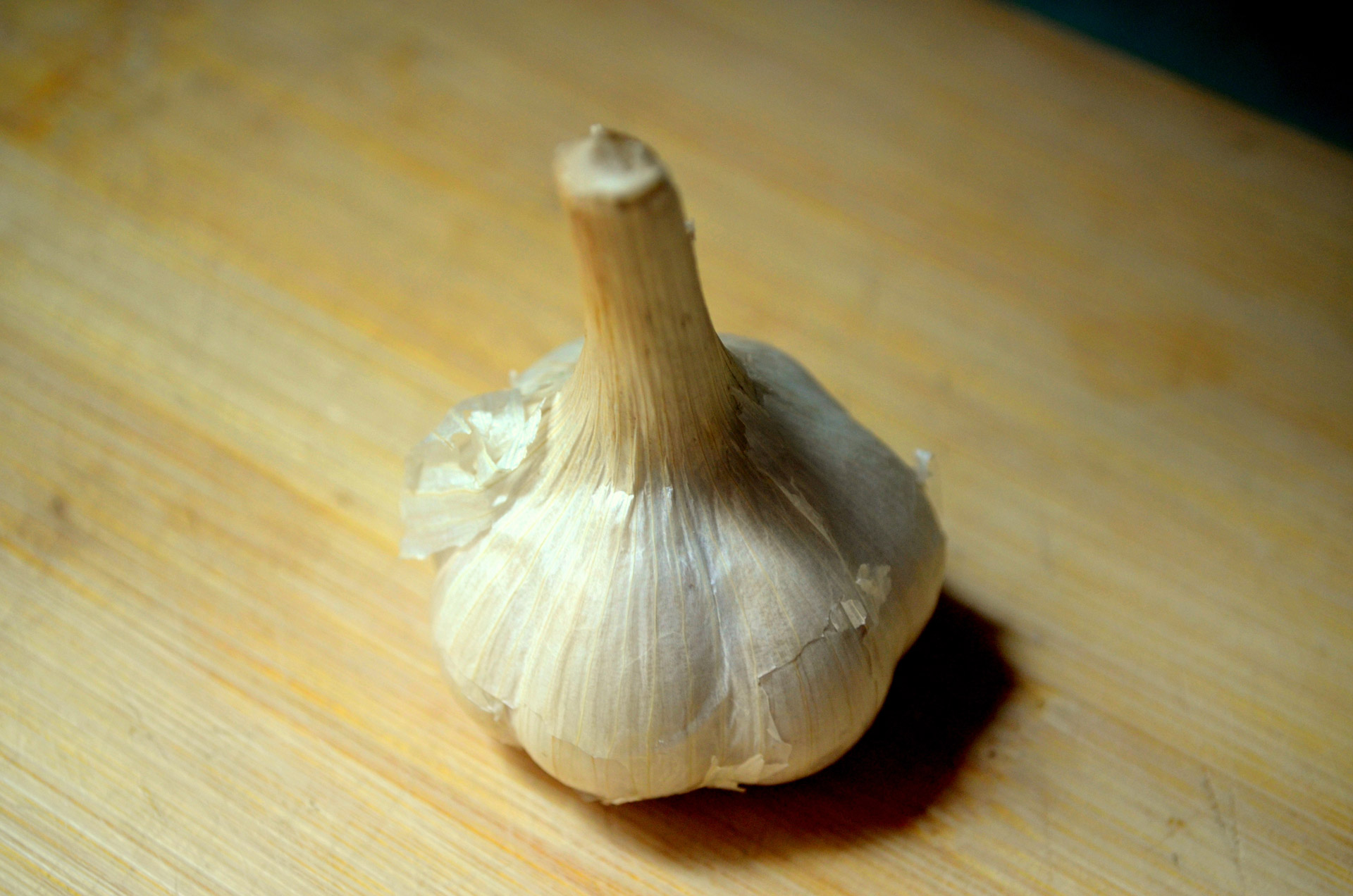 garlic bulb food free photo