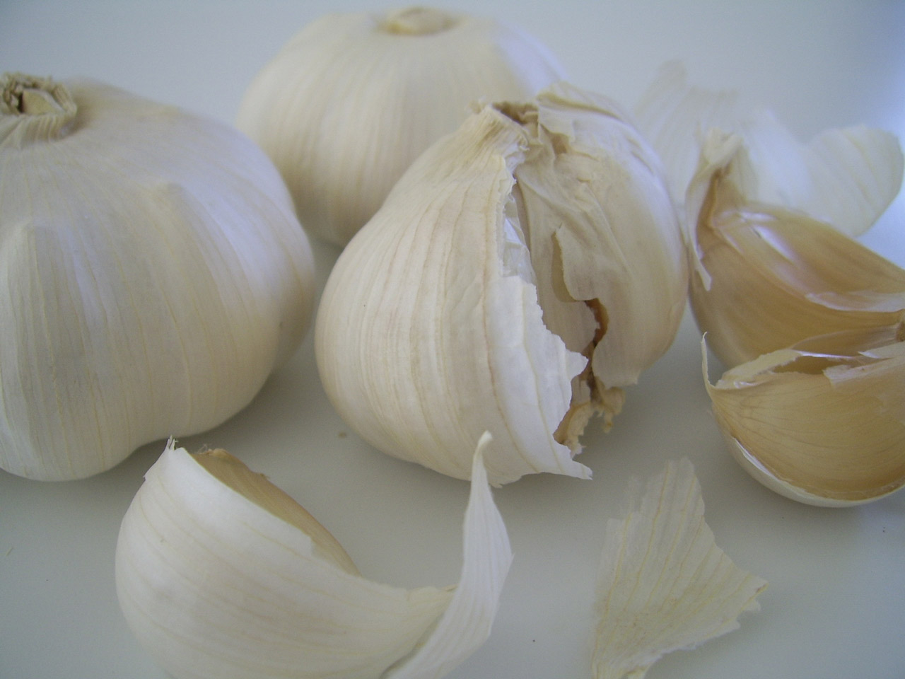 garlic bulbs cooking free photo