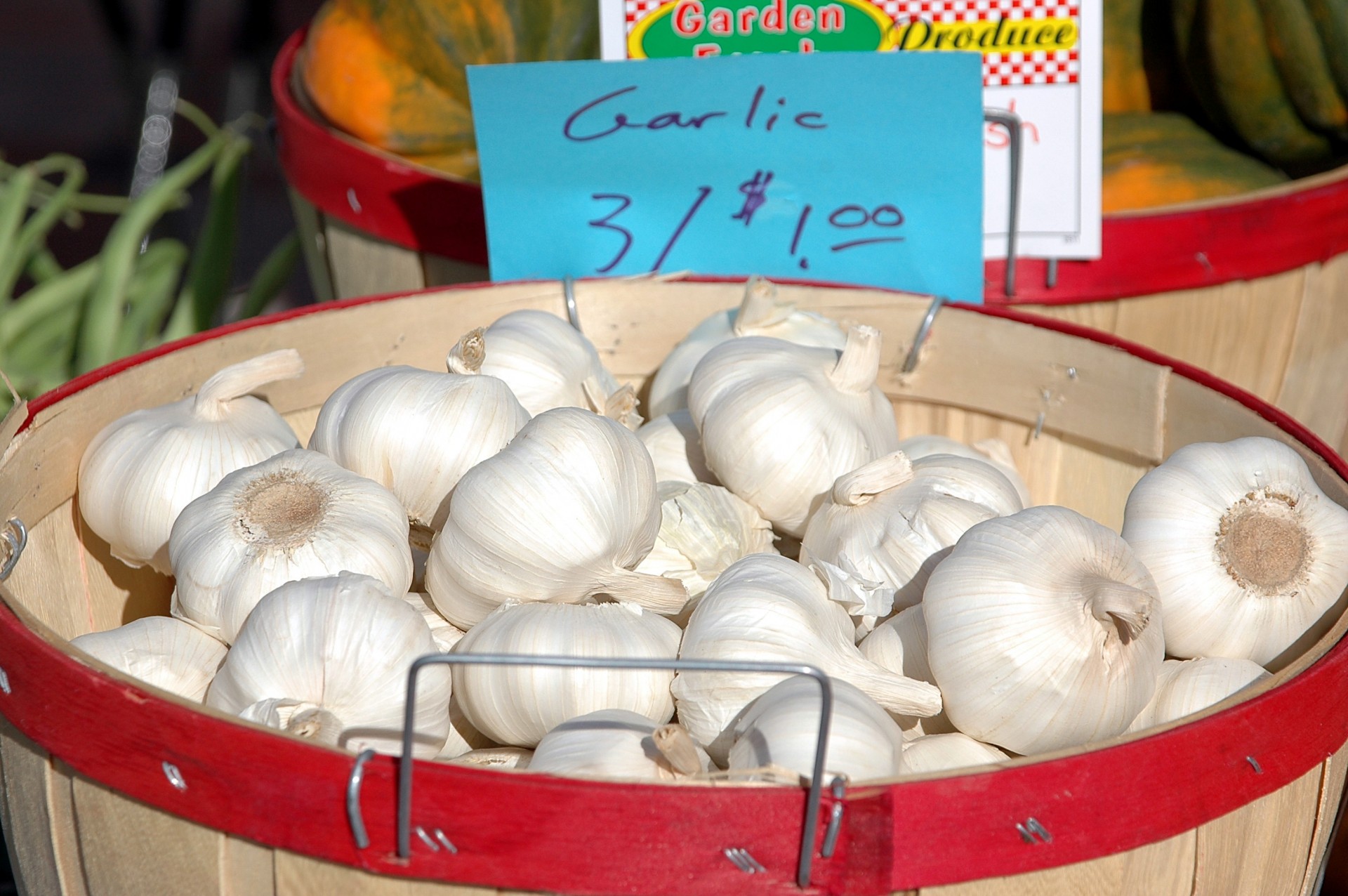 garlic health vegetable free photo