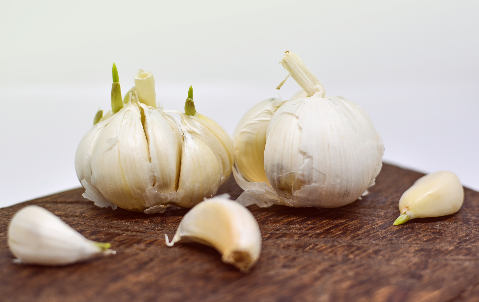 garlic ingredient food free photo