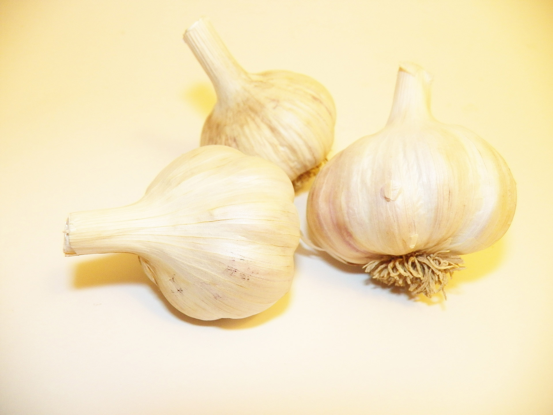 garlic garlic cloves garlic bulbs free photo