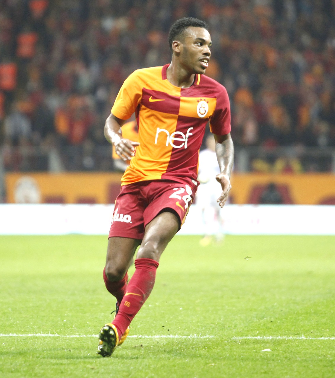 garry mendes rodrigues galatasaray lion free photo