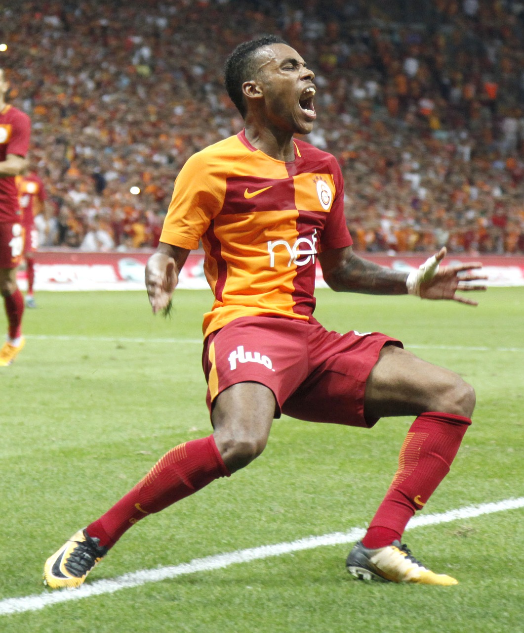 garry mendes rodrigues galatasaray lion free photo