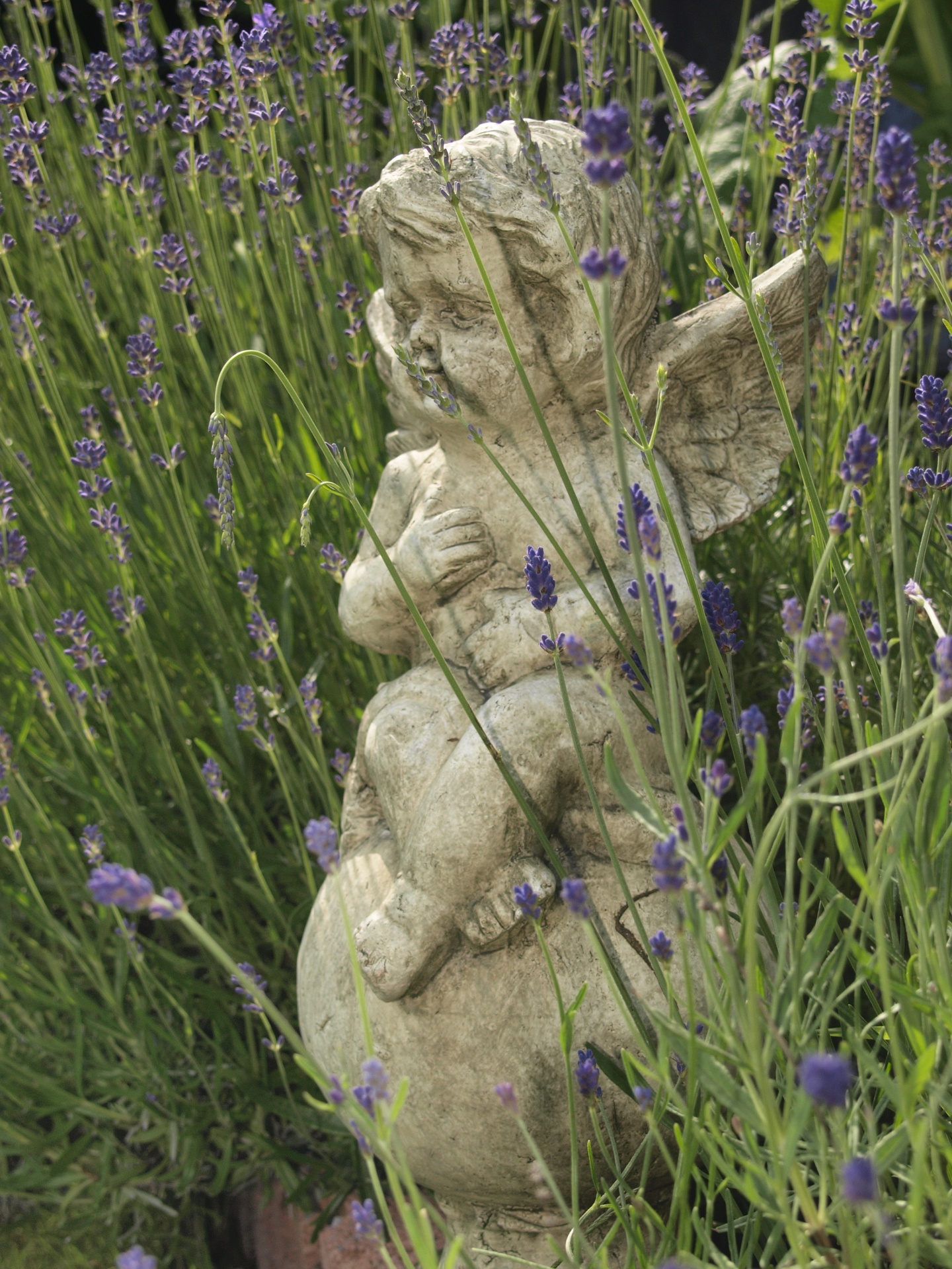 angel cherub garden figure free photo