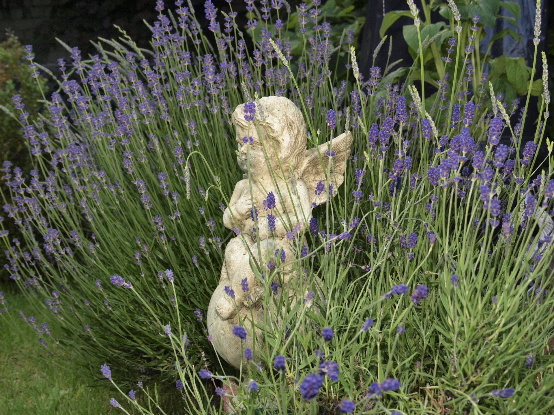 angel cherub garden figure free photo