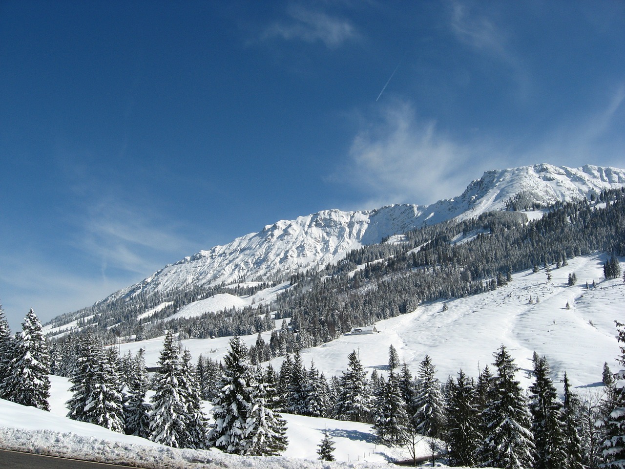 gary long alpine allgäu free photo