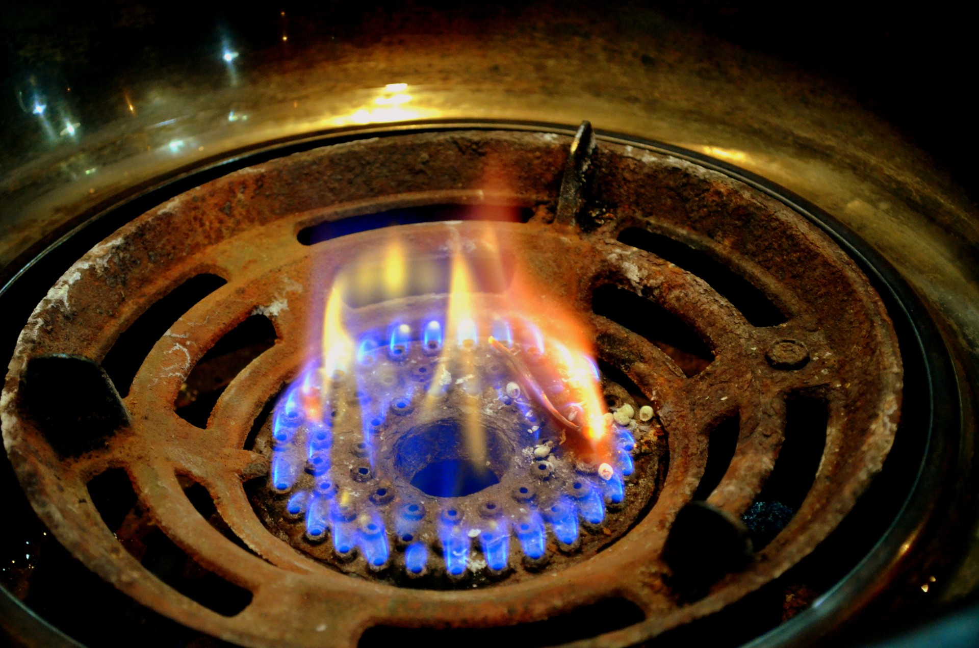 gas flame flame gas burner free photo