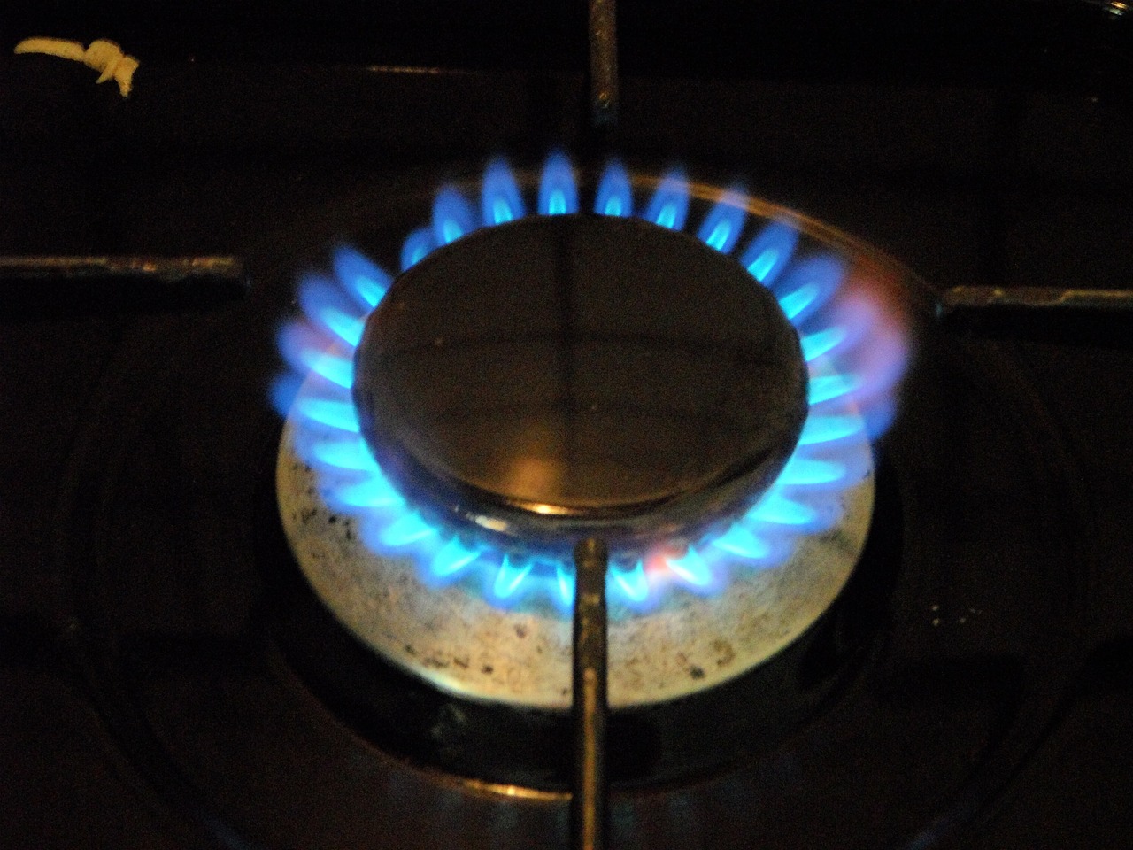 gas stove burn gas free photo
