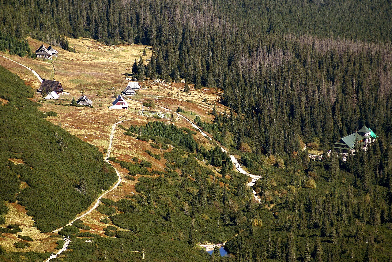 Gasienicowa valley,tatry,the national park,mountain pine,tree - free ...