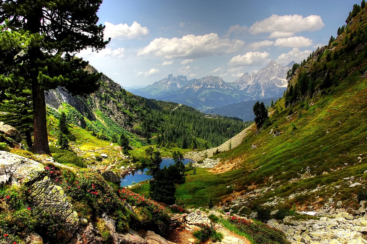 gasselsee  schladming  landscape free photo