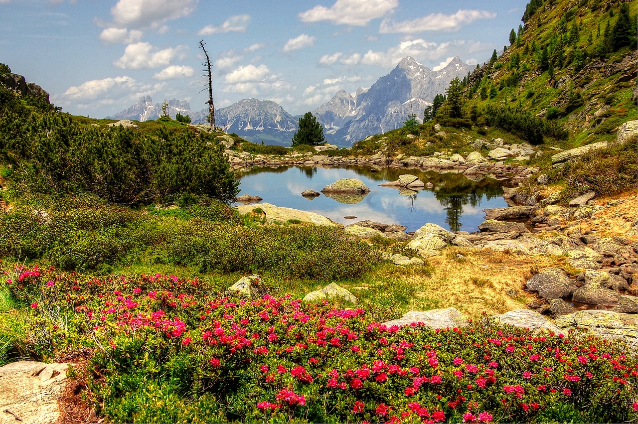 gasselsee  schladming  bergsee free photo