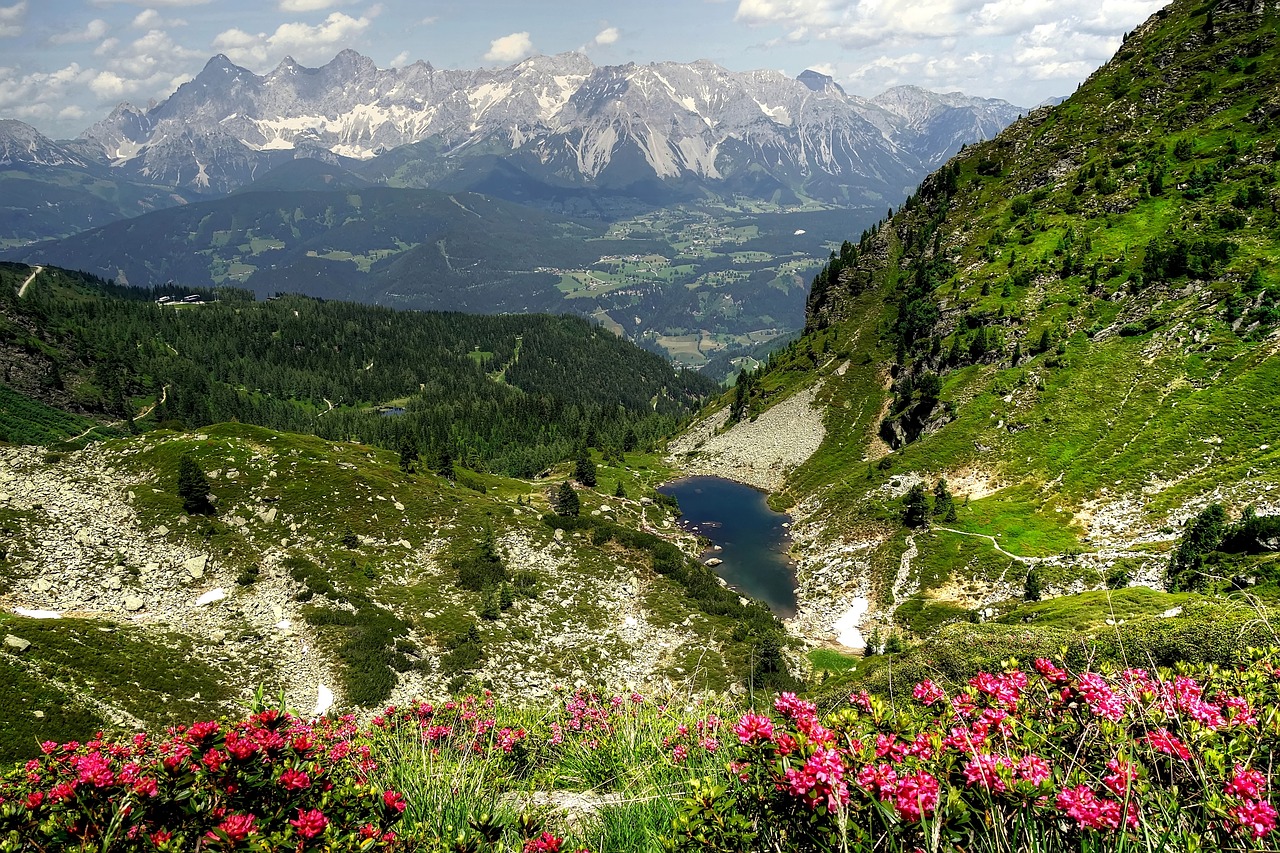 gasselsee  dachstein  bergsee free photo