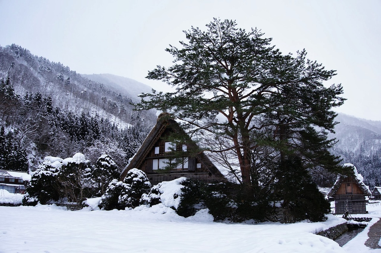 gassho village snow japan free photo