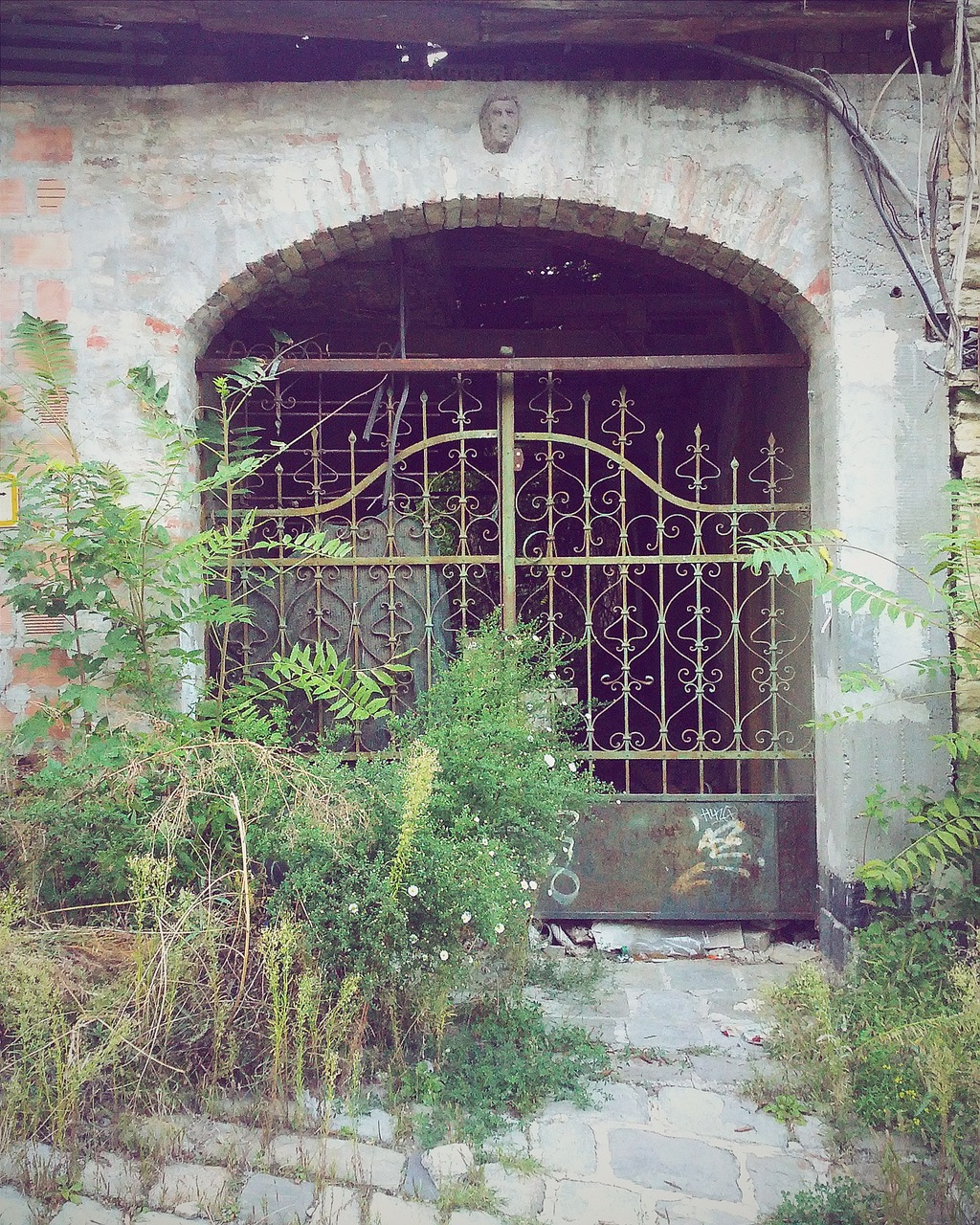 gate lonely street free photo