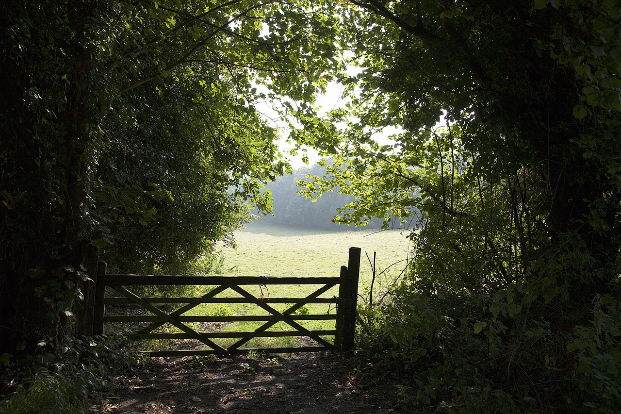 gate field bush free photo