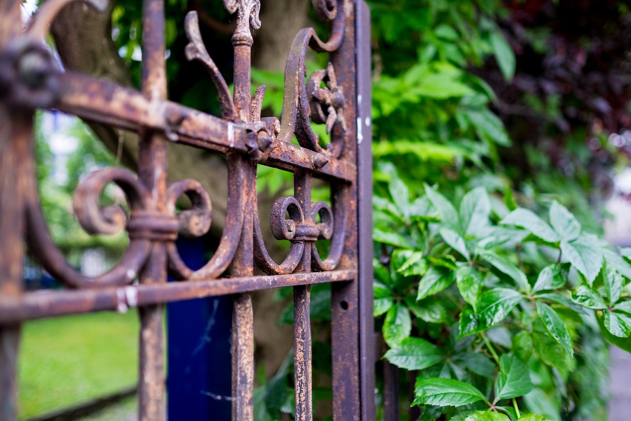 gate stainless plant free photo