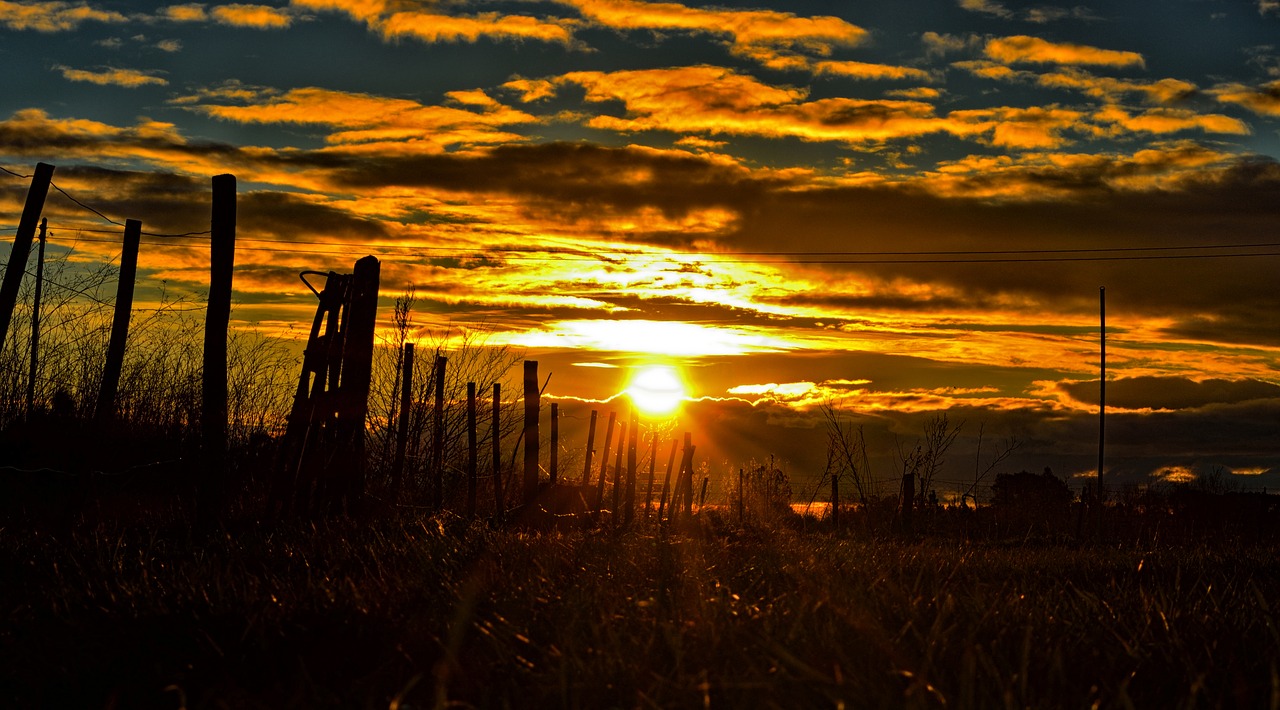 gate sunset sun free photo