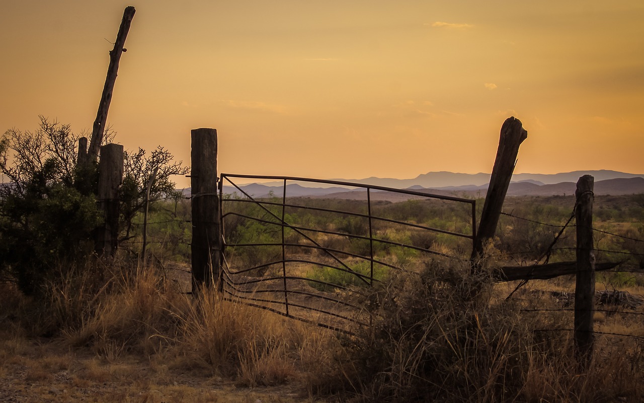 gate fence landscape free photo