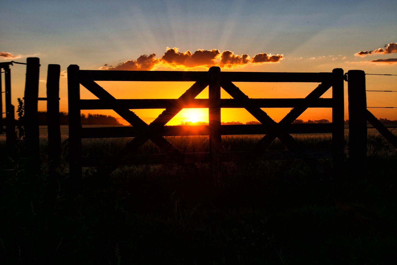 gate sun sunset free photo