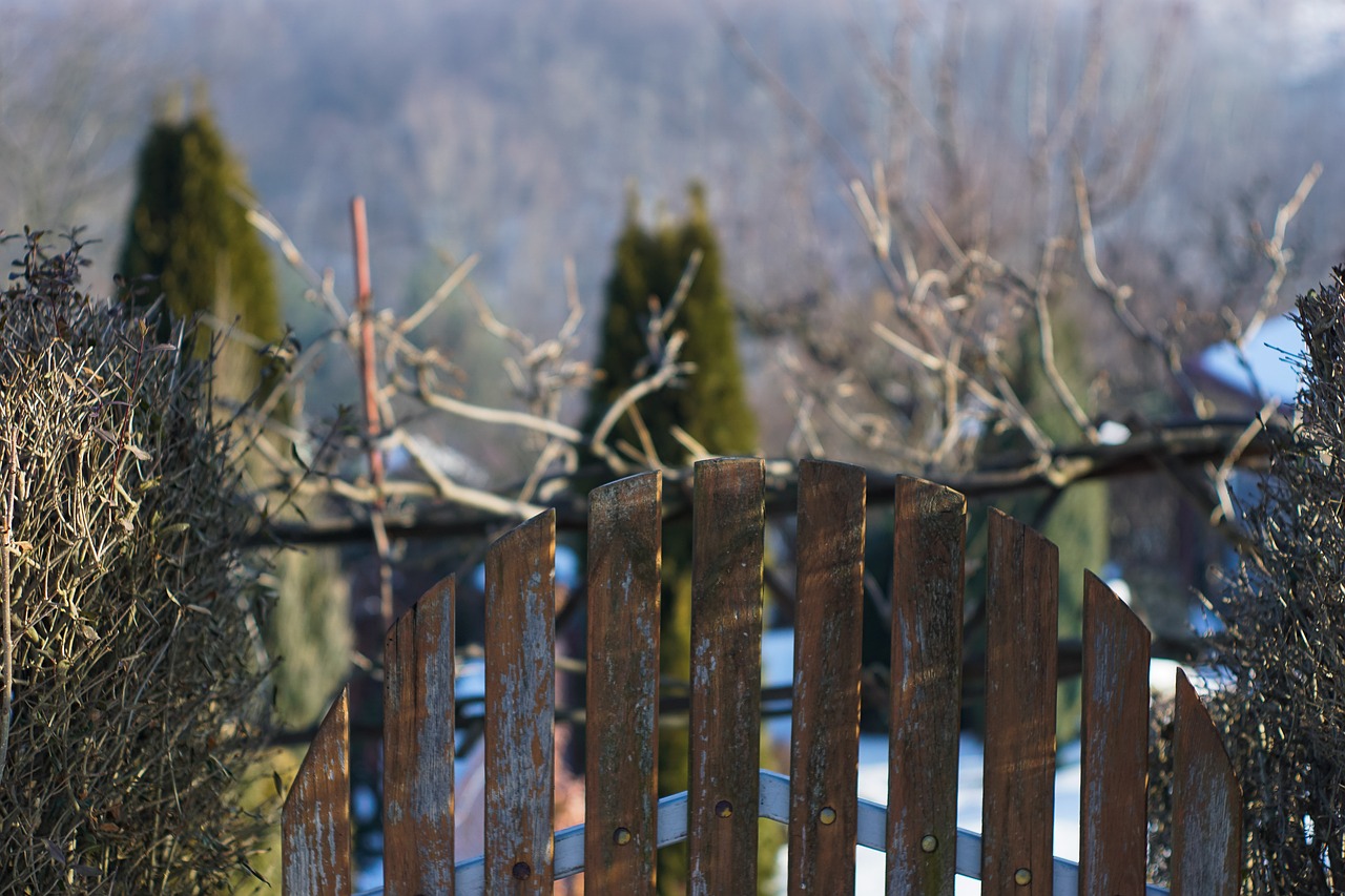 gate gateway wooden gate free photo