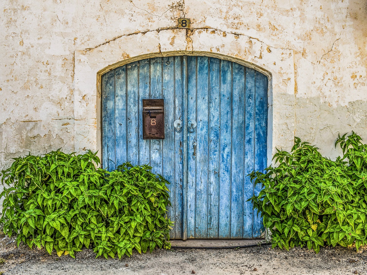 gate door wooden free photo