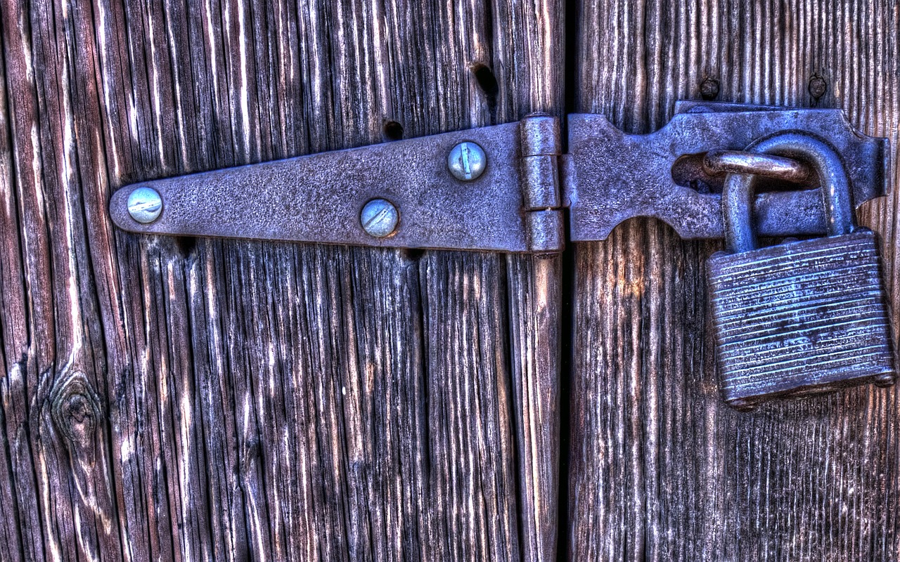 gate lock blue free photo