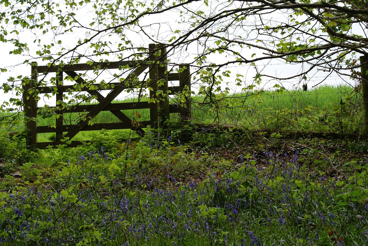 gate field walk free photo