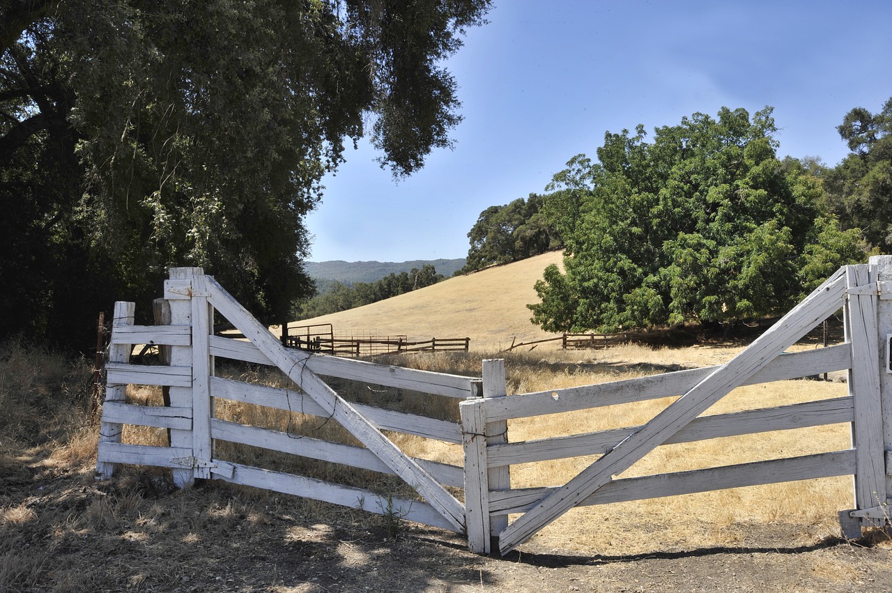 gate pasture pasture fence free photo