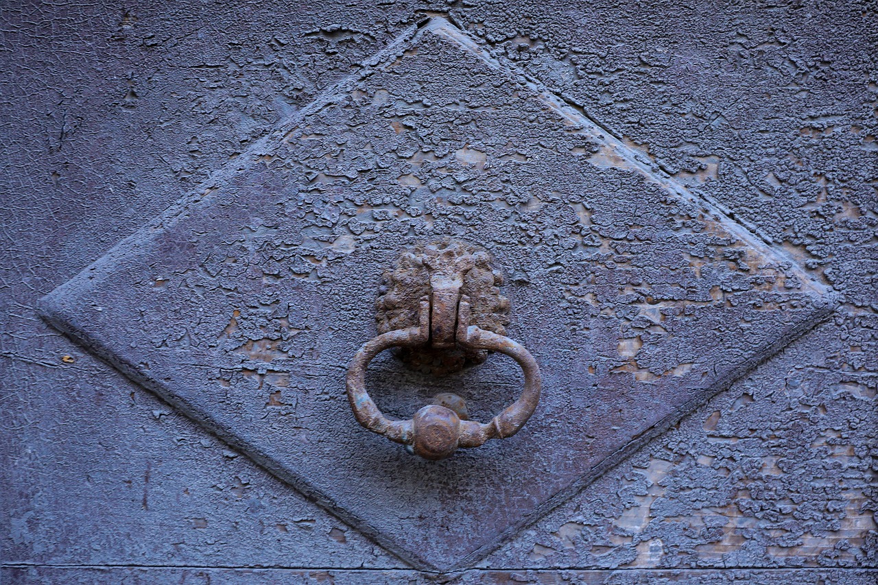 gate knocker old door free photo