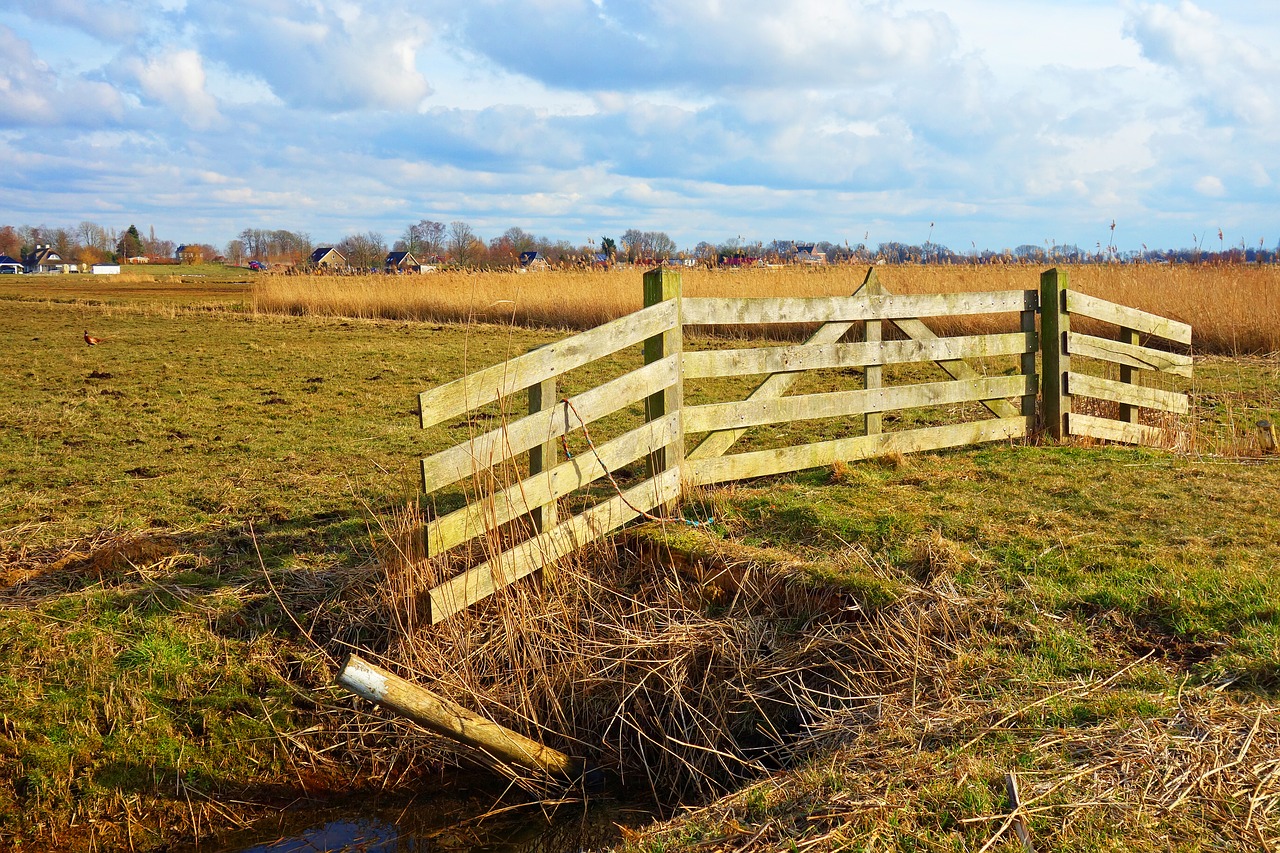 gate wooden gate meadow free photo