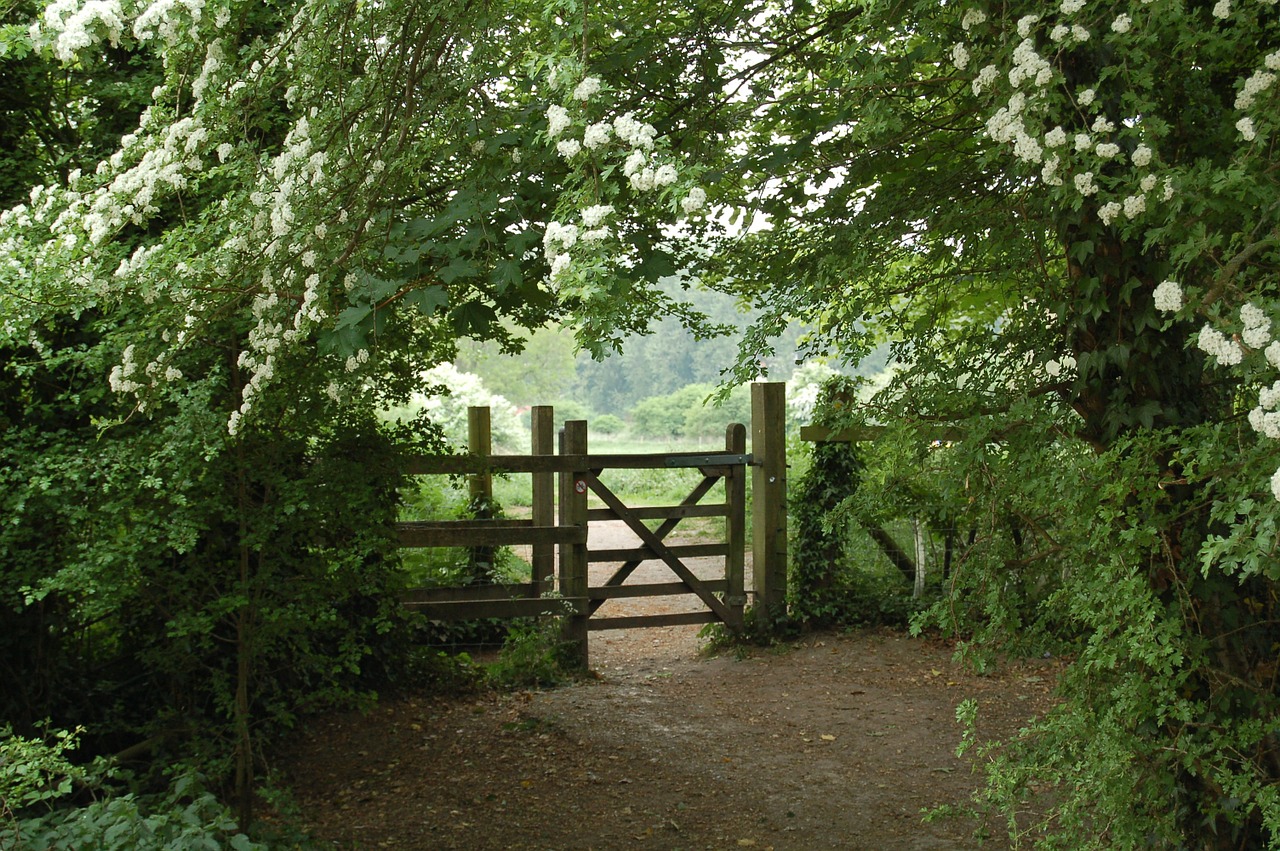 gate leaves fence free photo