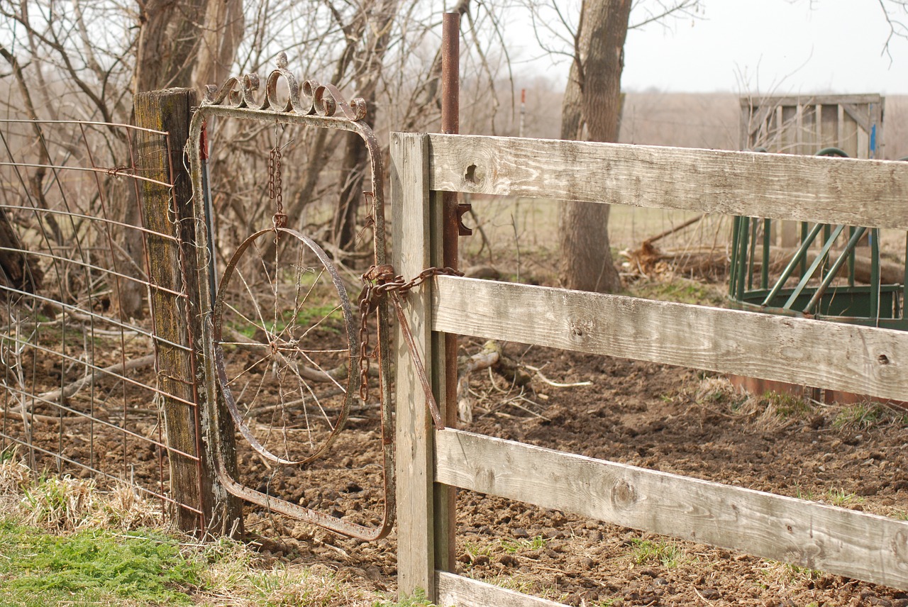 gate  farm  fence free photo