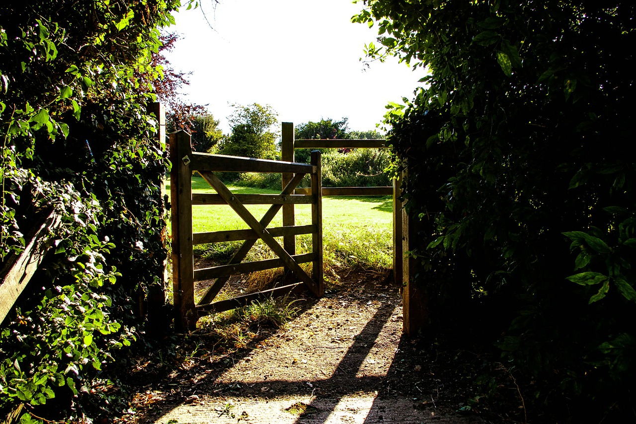 gate field fence free photo