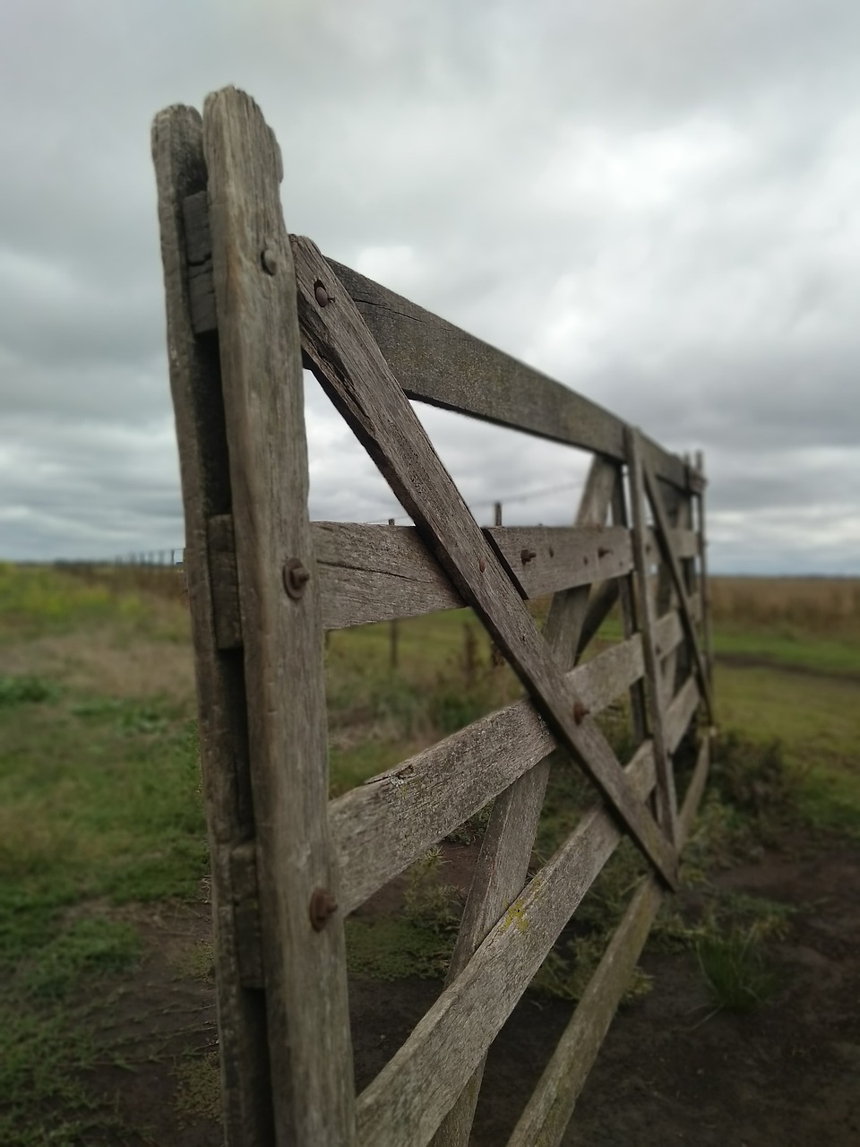 gate  field  landscape free photo