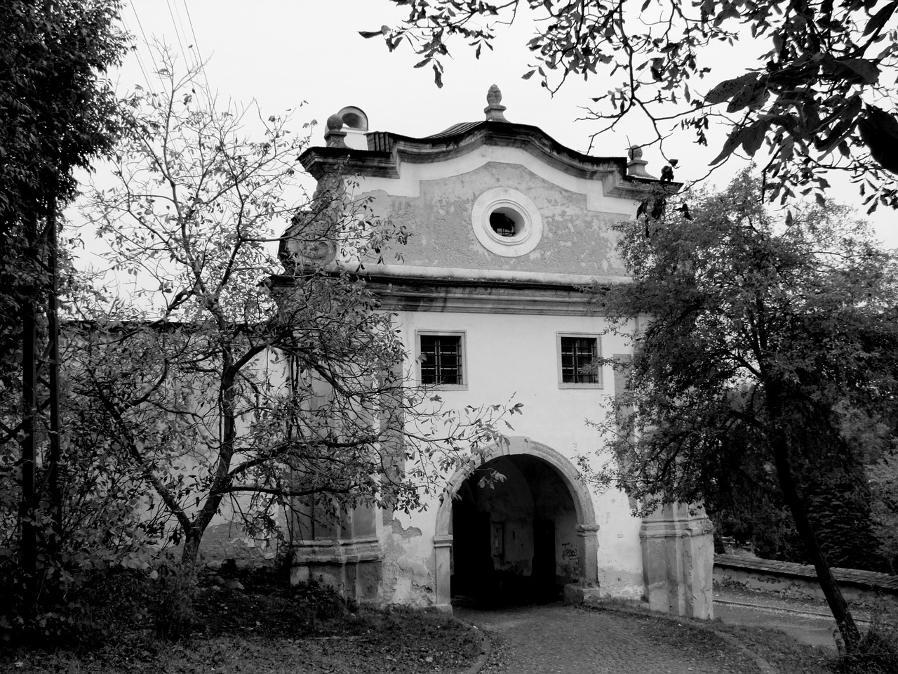 gate trees black and white free photo