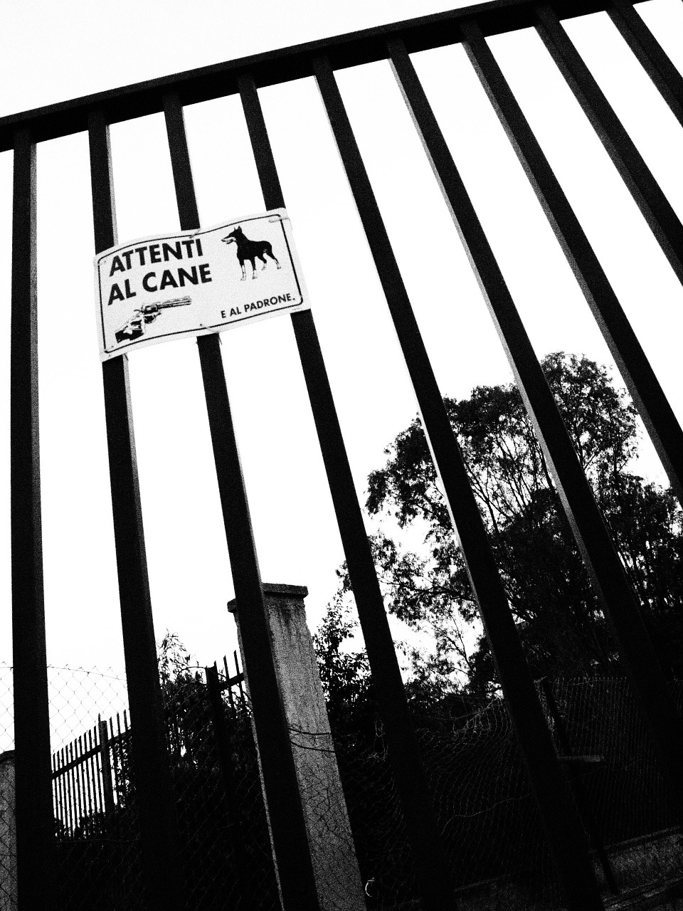 gate signal dog free photo