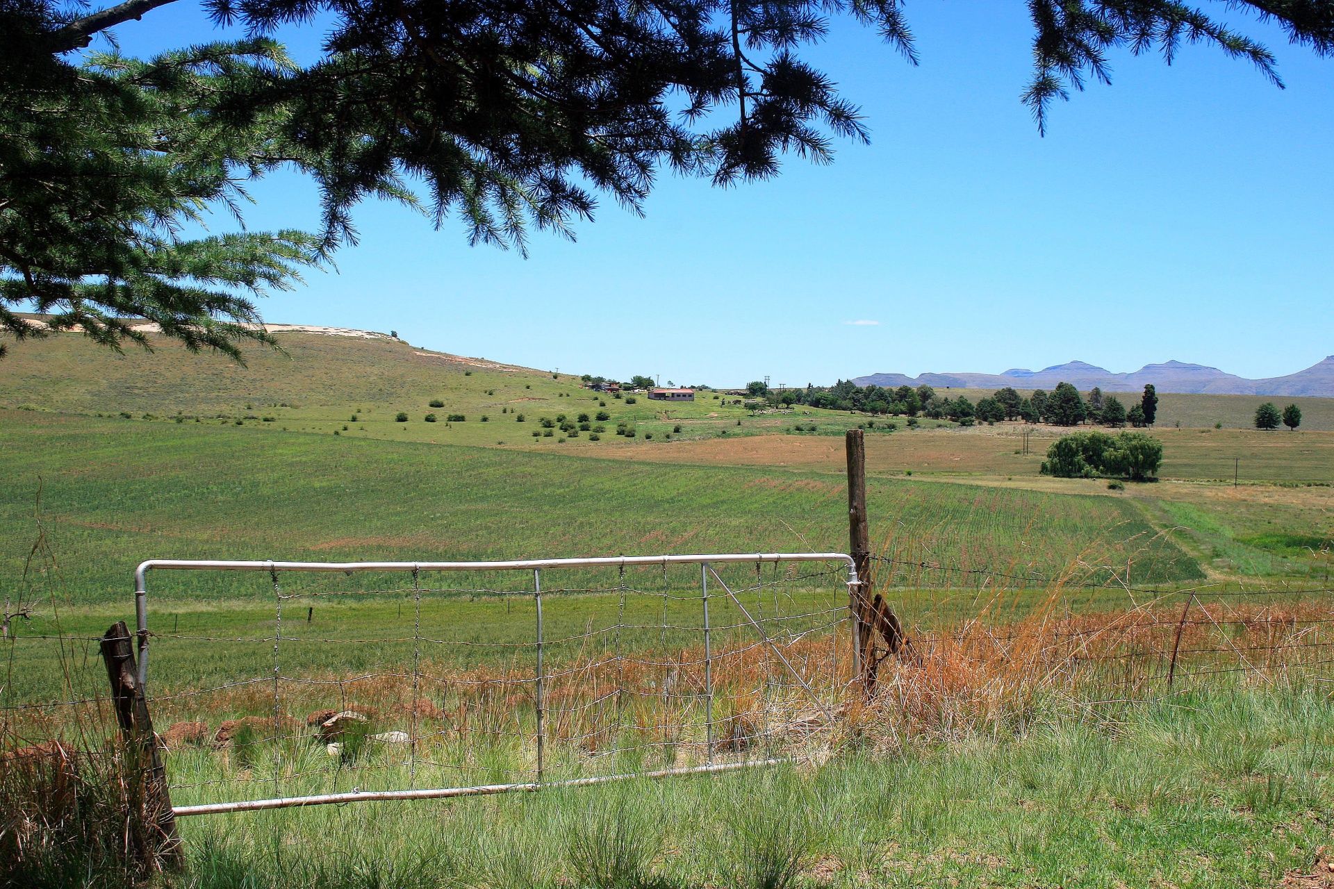 country veld gate free photo