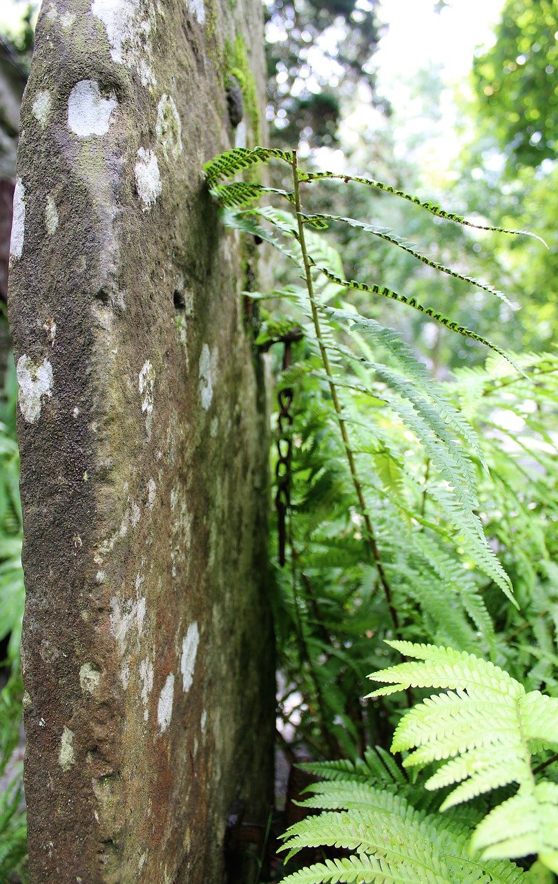 gate post stone lakeland stone free photo