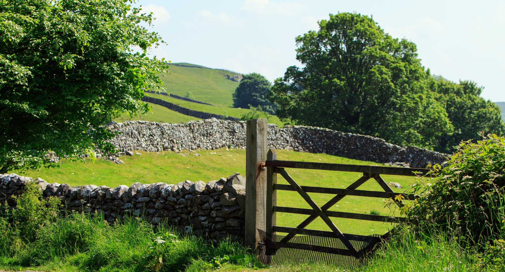 gate wood wooden free photo