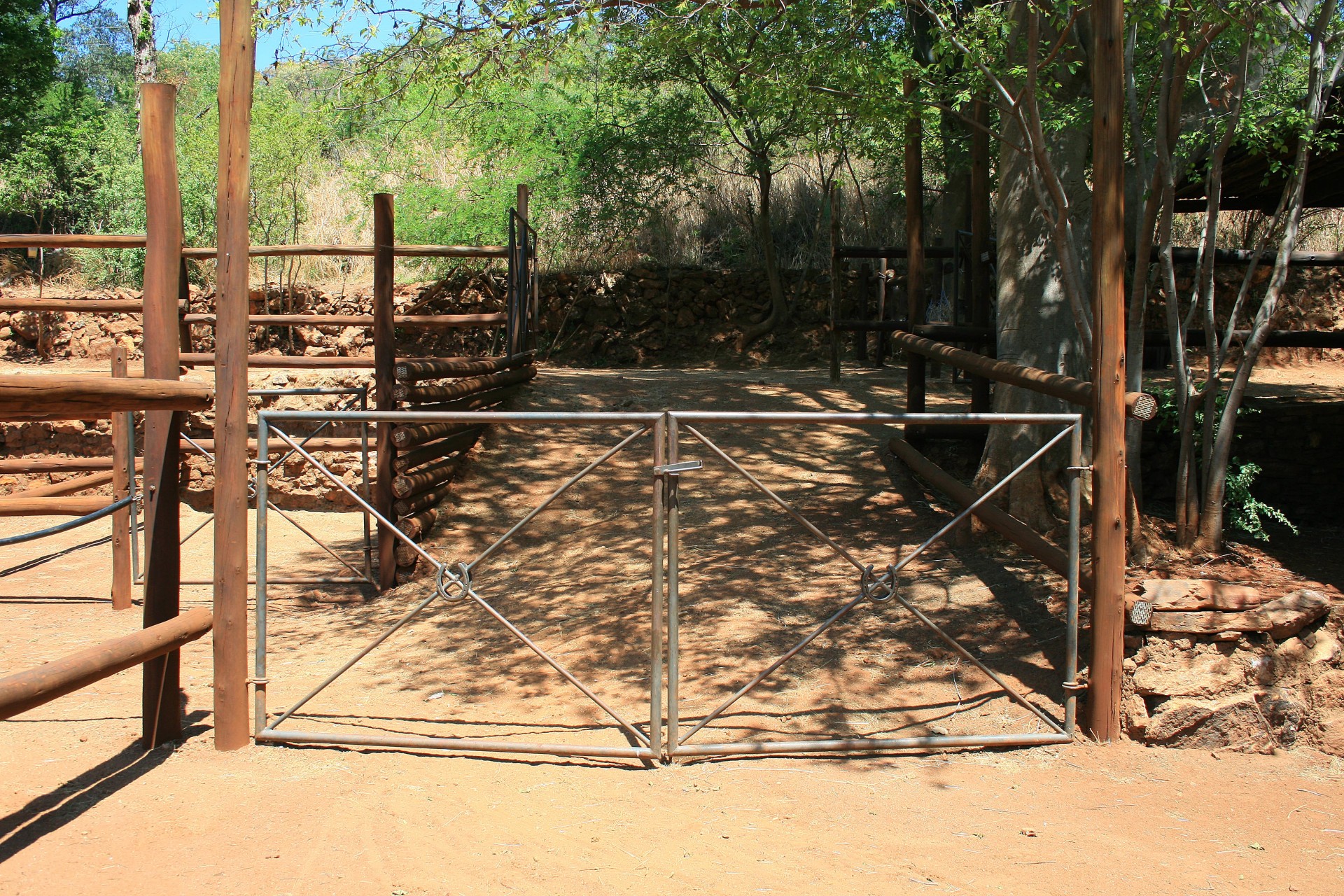 gates metal horse pens free photo