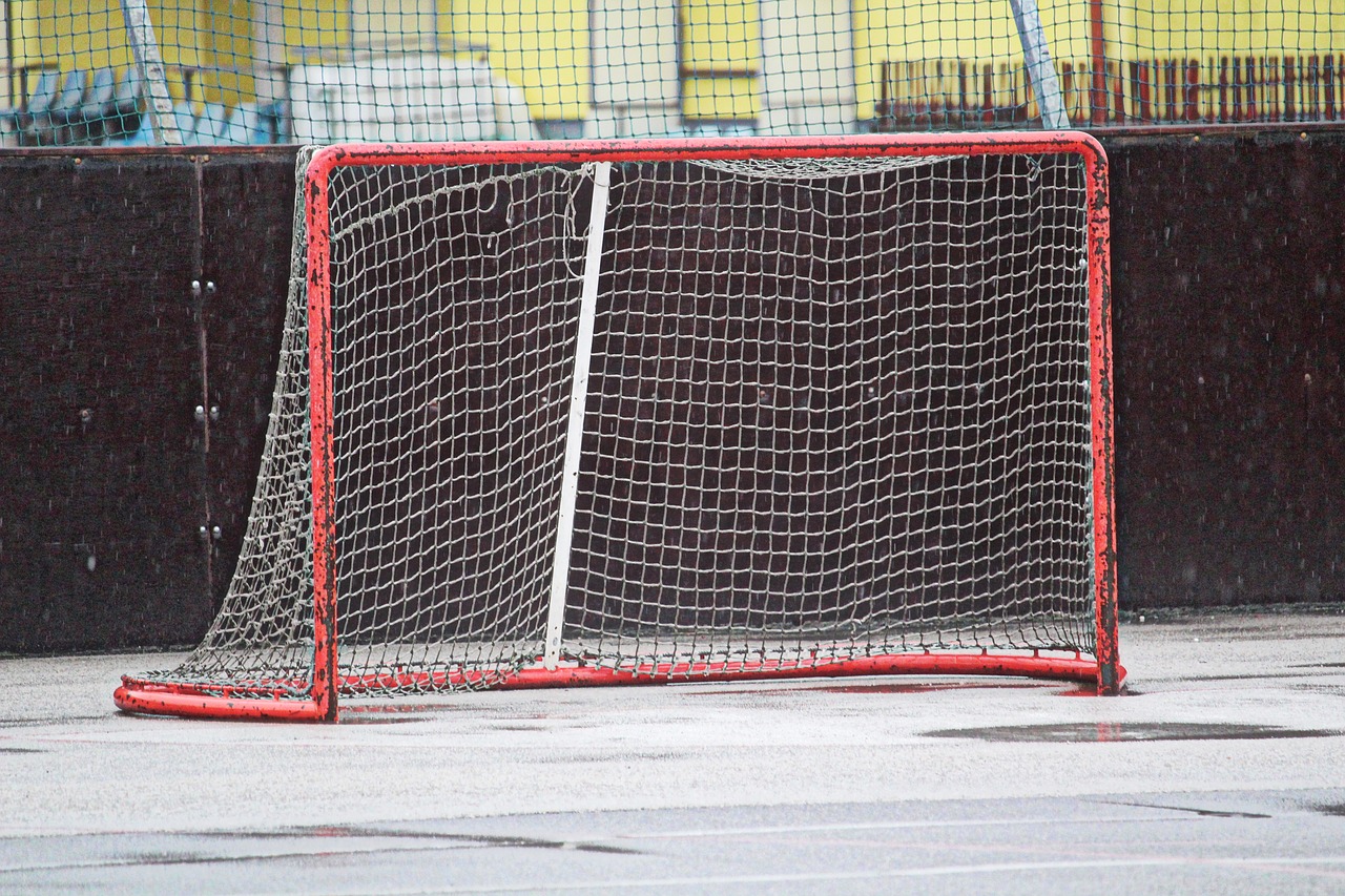 gateway  hockey gate  network free photo